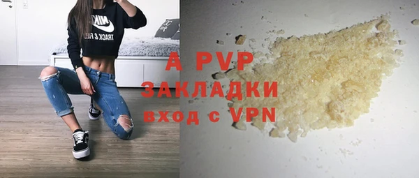 прущие грибы Няндома