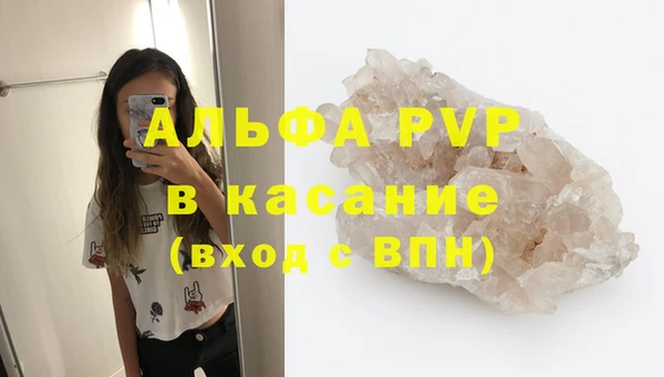 трава Кедровый