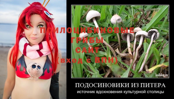 трава Кедровый