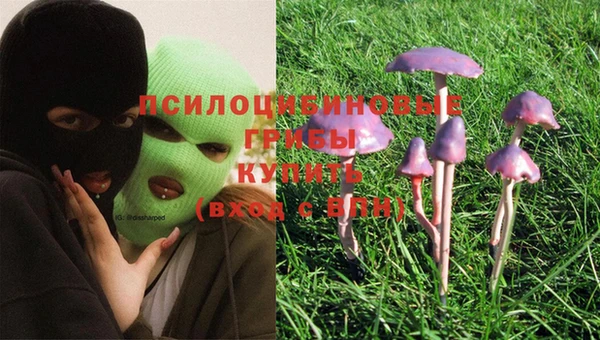 мескалин Кизел