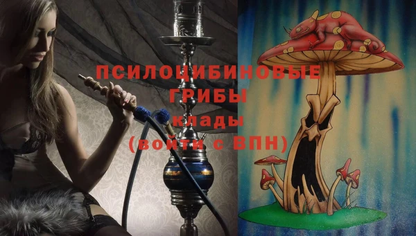 бутират Осинники