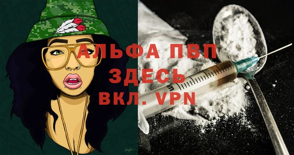 трава Кедровый