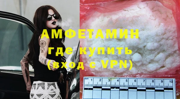 прущие грибы Няндома
