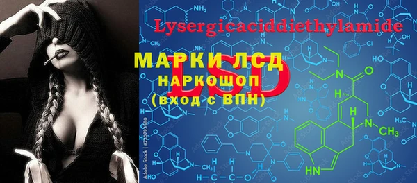 прущие грибы Няндома