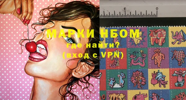 трава Кедровый