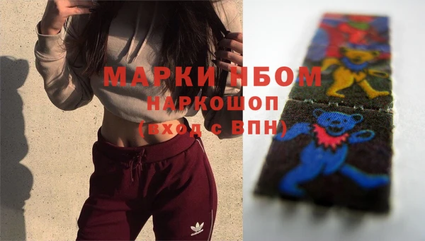Альфа ПВП Кемь